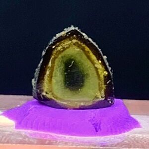 1.80 Carats Mixed Color Polished Tourmalines Slices